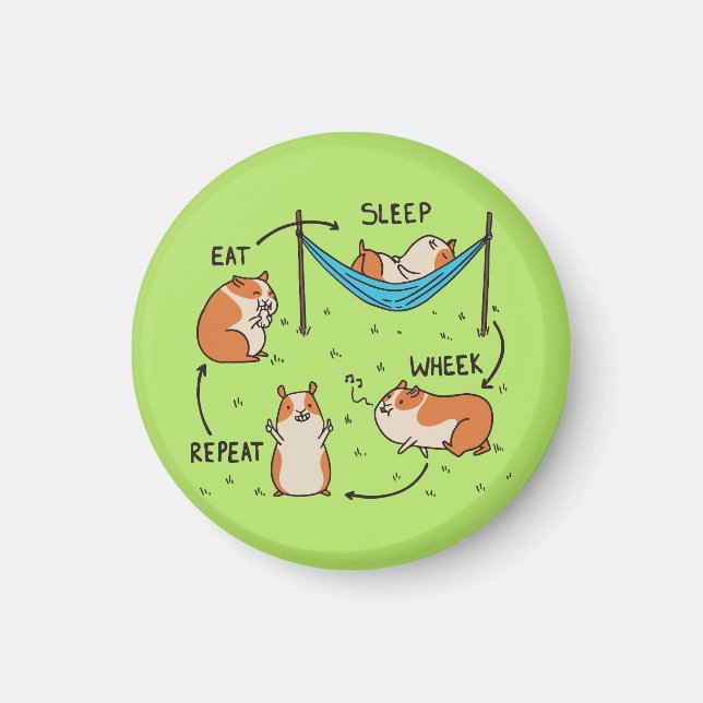 Íman Ciclo de vida de um Porco-guineense (Frente)