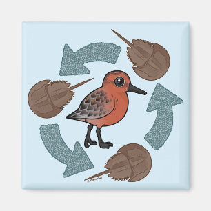 Íman Ciclo do Nó de Caranguejo