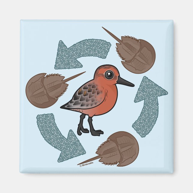 Íman Ciclo do Nó de Caranguejo (Frente)