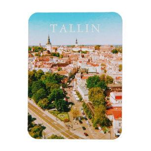 Íman Cidade Antiga de Tallinn, Estônia, Arte Municipal