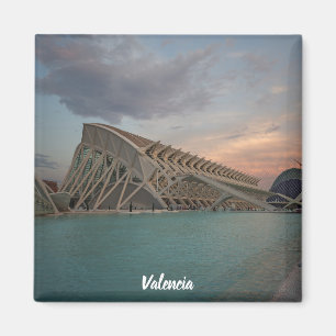 Íman Ciencias dos las de Valência "Ciudad de las artes