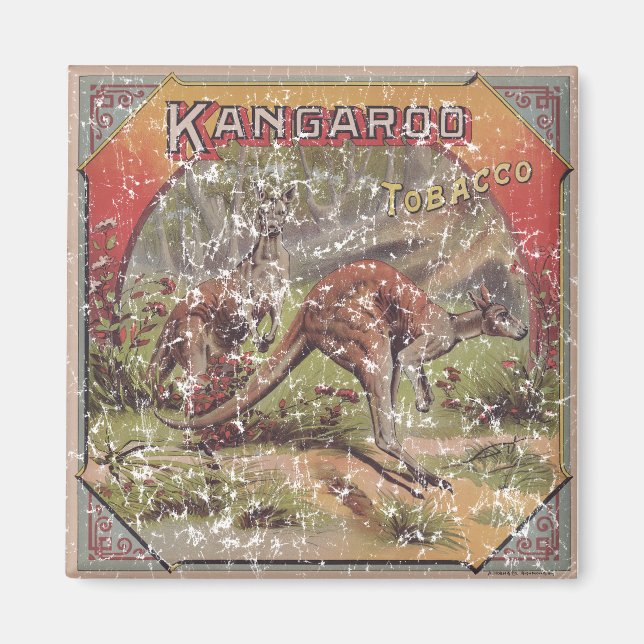 Íman Cigarro De Canguru 1900 (Frente)