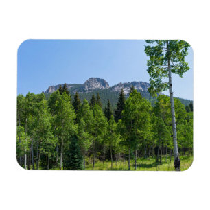 Íman cimeira de espódoto acima das matas, à porta do ou