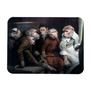 Íman Cinco macacos Ricos