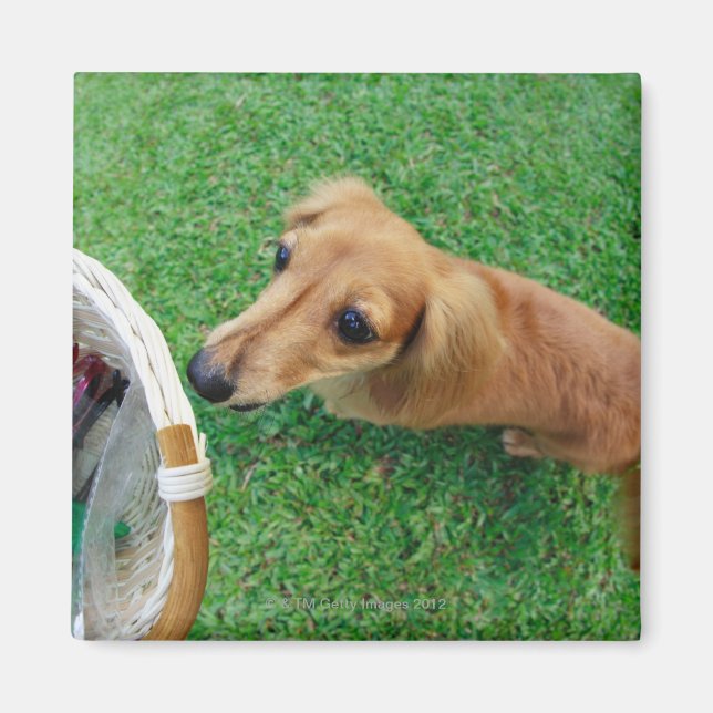 Íman Cingapura 2 (Frente)