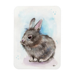 Íman Cinza Bunny