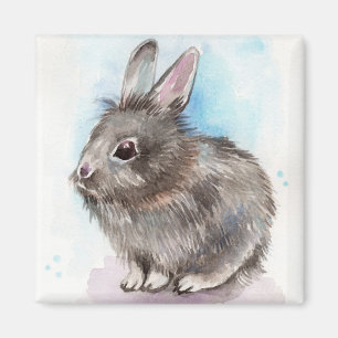 Íman Cinza Bunny