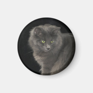 Íman Cinza Cabelo Longo Cabelo Azul Russo Gatinho Gatin