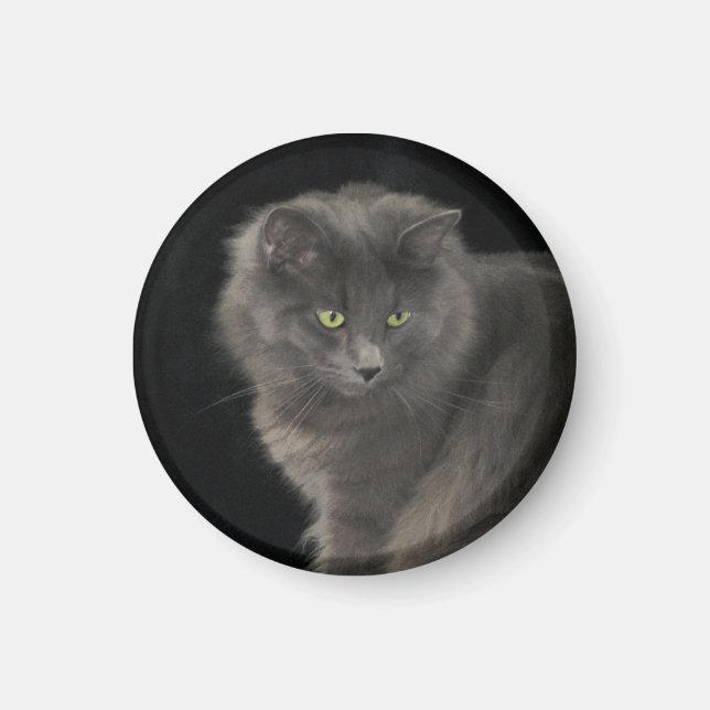 Íman Cinza Cabelo Longo Cabelo Azul Russo Gatinho Gatin (Frente)