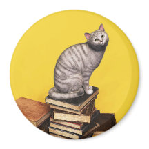 Cinza Cat numa pilha de livros Magnet