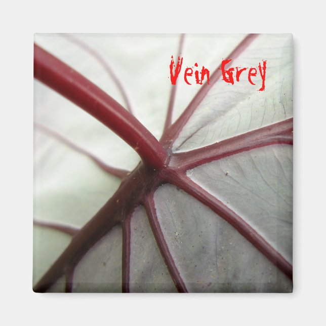 Íman Cinza de veias (Frente)