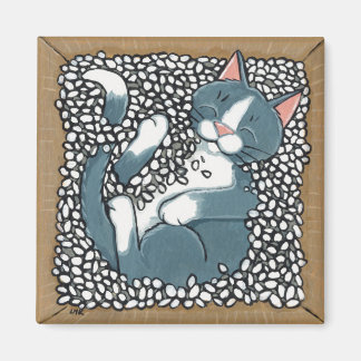 Íman Cinza Tuxedo Gato Dormindo em Caixa de Amendoim Em