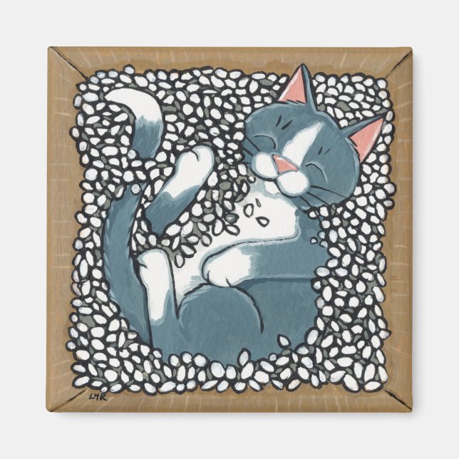 Íman Cinza Tuxedo Gato Dormindo em Caixa de Amendoim Em (Frente)