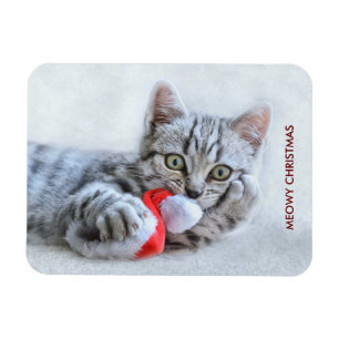 Íman Cinzas de Natal meudas de gato