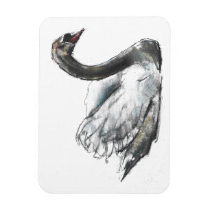 Íman Cisne