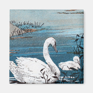 Íman Cisne branca elegante com bebê