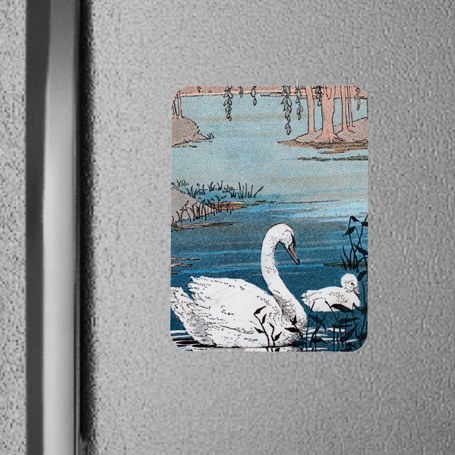 Íman Cisne Branco Elegante Com Bebê (Pretty white swan with baby swimming in blue lake on rectangular magnet.)