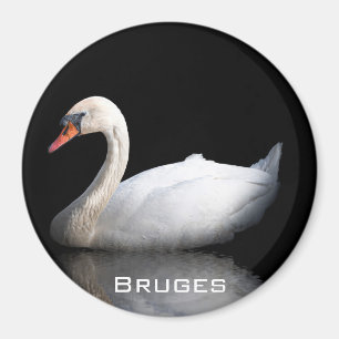 Íman Cisne branco sobre preto