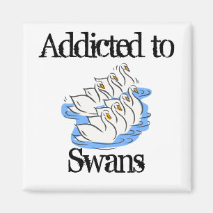 Íman Cisnes