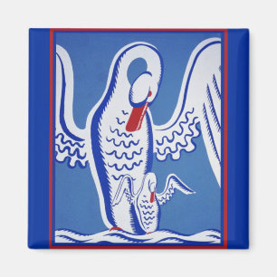 Íman Cisnes