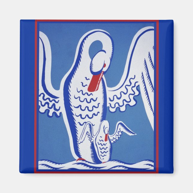 Íman Cisnes (Frente)