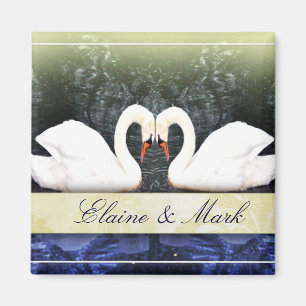 Íman Cisnes elegantes no amor