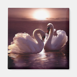 Íman Cisnes Loving que formam um coração