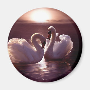 Íman Cisnes Loving que formam um coração