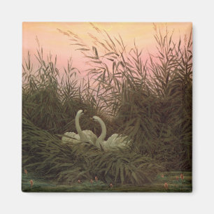 Íman Cisnes nos juncos, c.1820