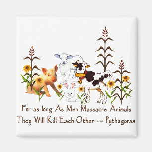 Íman citação de Pitágoras e Vegetariana