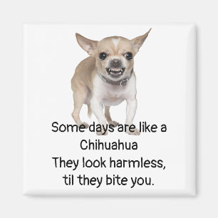 Íman Citação engraçada sobre a vida com o cachorro C