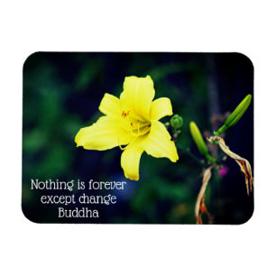 Íman Citação Inspiradora Amarelo