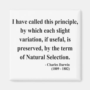 Íman Citações 6a de Charles Darwin