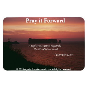 Íman Citações Cristãs Inspiradoras