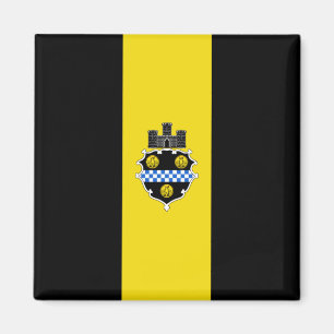 Íman City Flag de Pittsburgh (Pensilvânia)