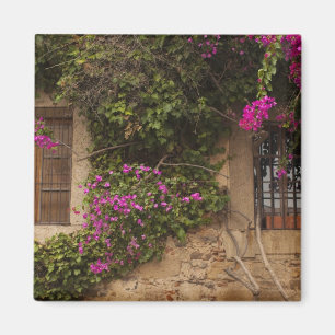 Íman Ciudad Monumental, edifícios cobertos de flores
