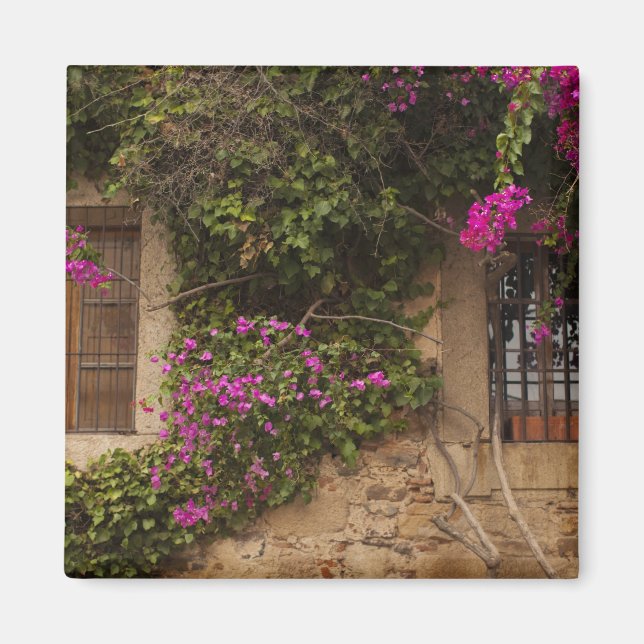 Íman Ciudad Monumental, edifícios cobertos de flores (Frente)