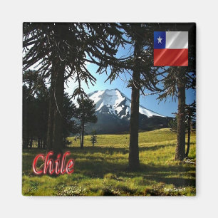 Íman CL - Chile - Araucarias - Monumento Natural