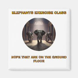 Íman Classe de dança de elefantes