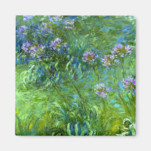 Íman Claude Monet: Agapanthus