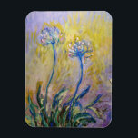 Íman Claude Monet - Agapanthus<br><div class="desc">Agapanthus,  close-up (Les Agapanthes) - Claude Monet,  1914-1917</div>