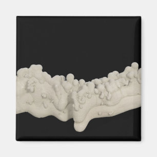 Íman Clay Concretion