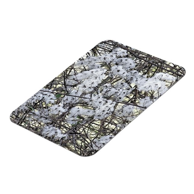 ÍMAN  CLEMÁTICA (Left Side)