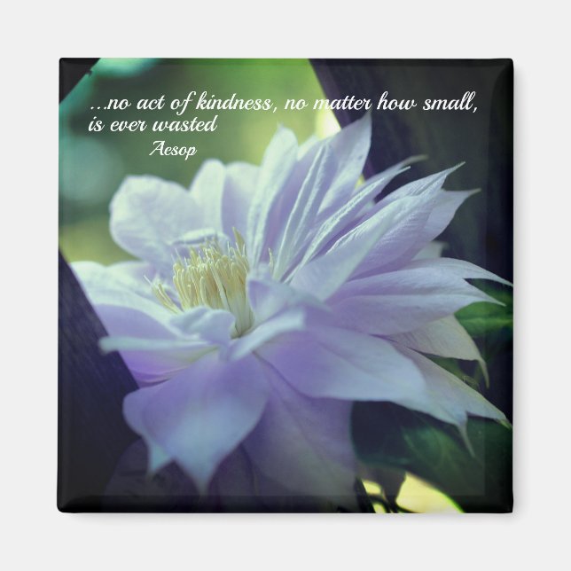Íman Clematis Flower Kindness Inspiration (Frente)