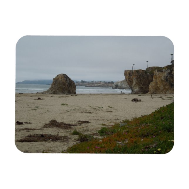 Íman Cliff Ao Longo Da Pismo Beach Shoreline (Horizontal)