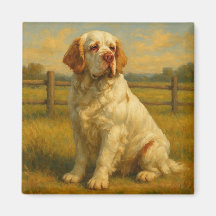 Clumber Spaniel