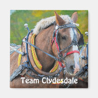 Clydesdale Draft Horse Team Magnetic Art Gift