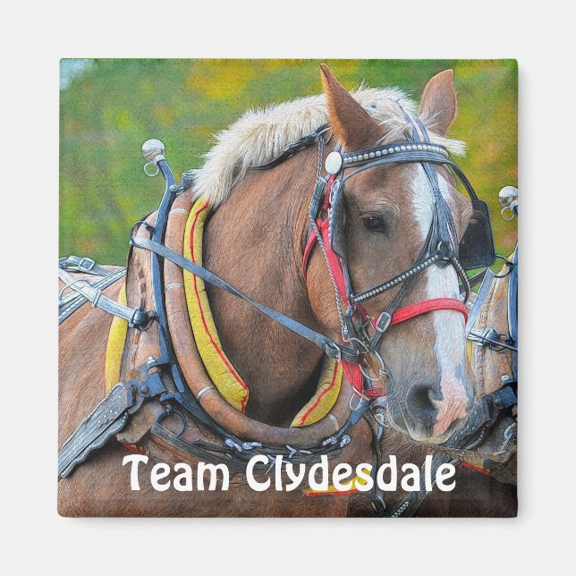 Íman Clydesdale Draft Horse Team Magnetic Art Gift (Frente)