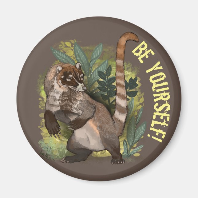 Íman Coatamundi ou branco coati (Frente)