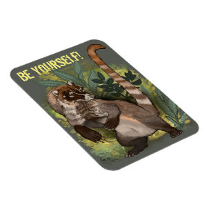 Íman Coatamundi ou branco coati